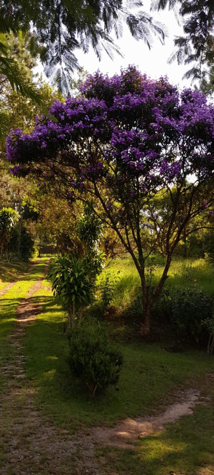 Sitio Gacied Villa Suzano Bagian luar foto